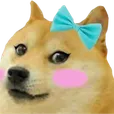 DogeWeeb