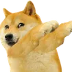 DogeDab DogeDab