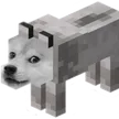 DogeMinecraft