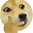 DogeThink DogeThink