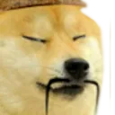 DogeChina