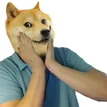 DogeGasp