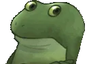 FroggyNopeNope