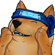 DogeNinja