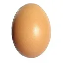 egg egg