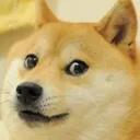 Doge Discord Emoji