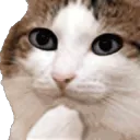 hmmmhelloeyes hmmmhelloeyes
