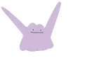dittokek dittokek