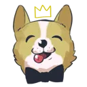 corgi