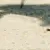 crab_rave25