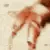 crab_rave17