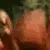 crab_rave11