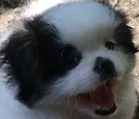isaboomerxd