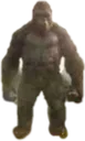 monky
