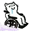 WheelchairRollOut