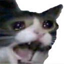 zirauserwhenbotdownfor8seconds Discord emoji