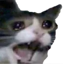 zirauserwhenbotdownfor8seconds