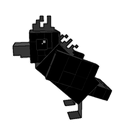 crow2