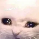 emoji_50