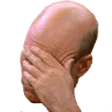 FacePalm