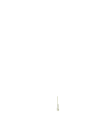 ThonkTree