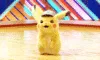 pikahatdance