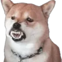 MFsad_rar
