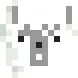 alpaca