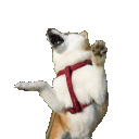 x_doggo Discord Emoji