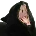 c_YAMERO Discord Emoji