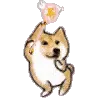 dogedance