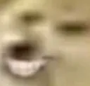 DogeKEK