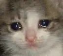 sadkitty