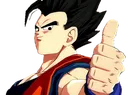gohanyes