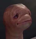 meat