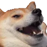 kEKGKEKGHHHHHH