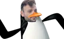 pinguinboi