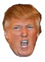 trumpexcited trumpexcited