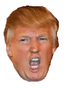 trumpexcited1