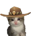 yeehaw