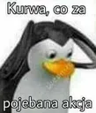 cozapojebanaakcja