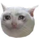 Catsad catsad Discord Emoji