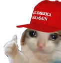 catokaymaga catokaymaga