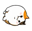 fastfatcatspin