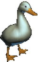 :hahaDuck: Discord Emote
