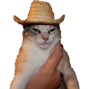 :esta_bien: Discord Emote