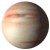 SALSPHERE