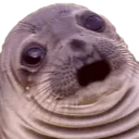 seal