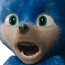 SonicWTF