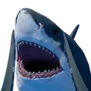 shockedBruce
